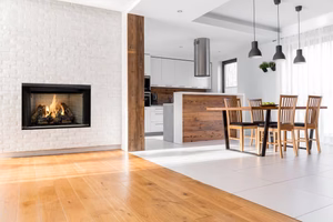 Heatilator Reveal Gas Fireplace