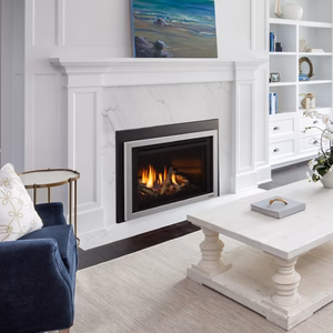 Heat & Glo Cosmo Gas Insert