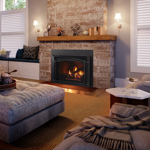 Heat & Glo Escape Gas Insert