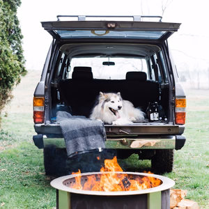 Breeo X Series 30 Smokeless Wood Fire Pit