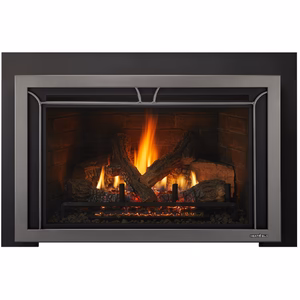 Heat & Glo Escape Gas Insert