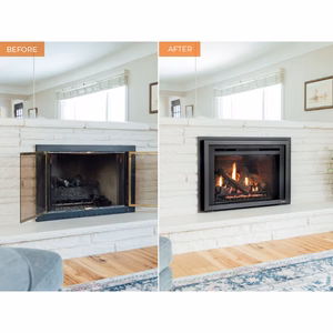 Heat & Glo Escape Gas Insert