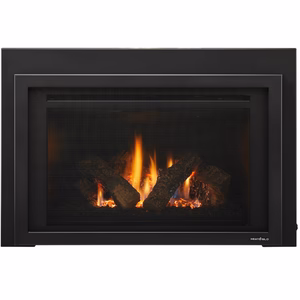 Heat & Glo Provident Gas Insert