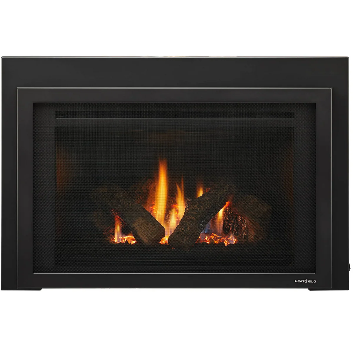 Heat & Glo Provident Gas Insert