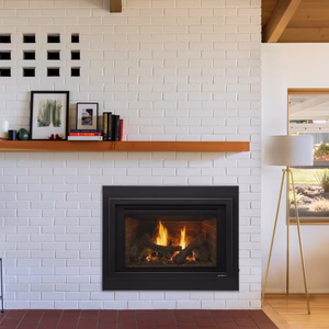 Heat & Glo Supreme Gas Insert