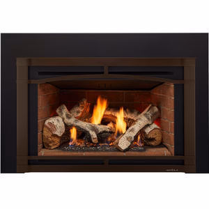 Heat & Glo Supreme Gas Insert