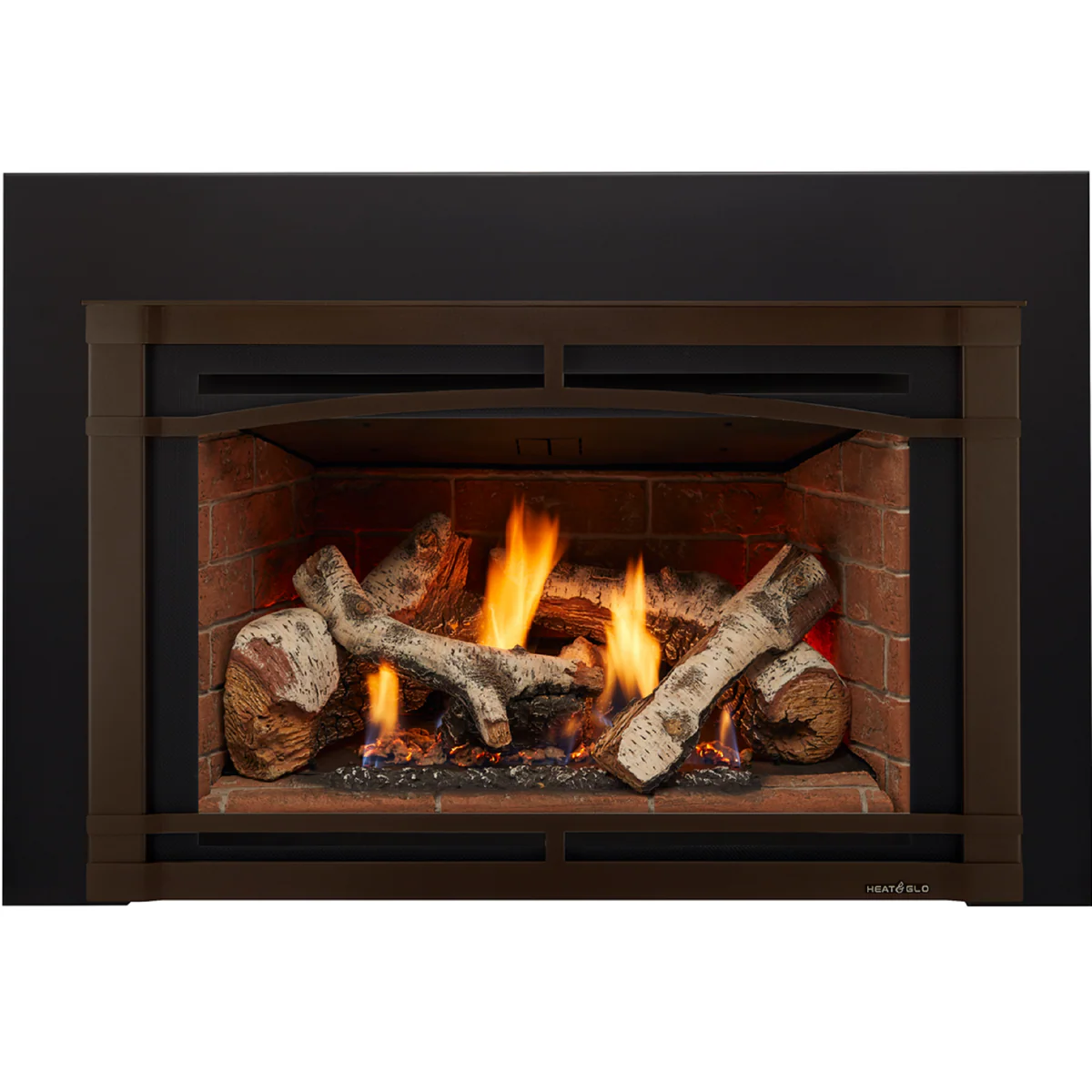 Heat & Glo Supreme Gas Insert