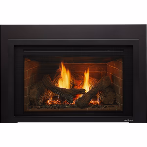 Heat & Glo Supreme Gas Insert