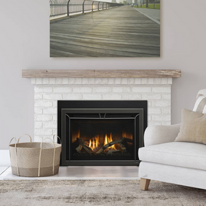 Heat & Glo Cosmo Gas Insert