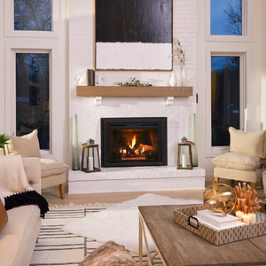 Heat & Glo Escape Gas Insert