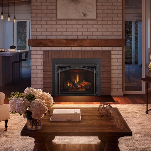 Heat & Glo Escape Gas Insert