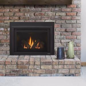 Heat & Glo Provident Gas Insert