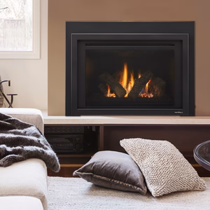 Heat & Glo Provident Gas Insert