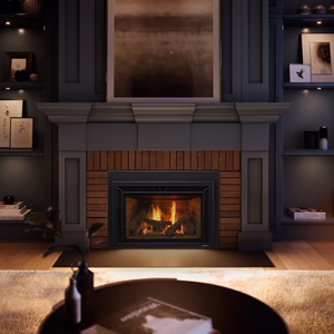 Heat & Glo Supreme Gas Insert