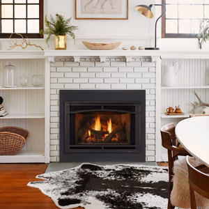 Heat & Glo Supreme Gas Insert