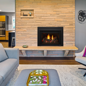 Heat & Glo Supreme Gas Insert