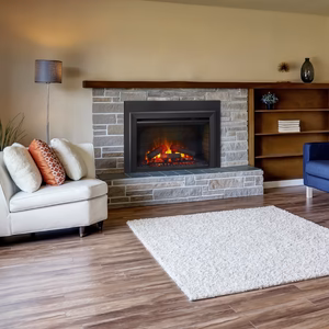 SimpliFire Electric Insert