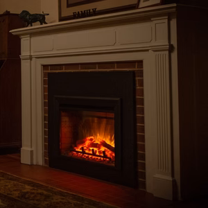 SimpliFire Electric Insert