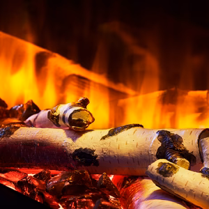 SimpliFire Scion Trinity Electric Fireplace