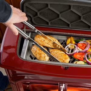 Vermont Castings Dauntless Wood Stove