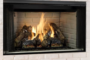 Heatilator Reveal Gas Fireplace