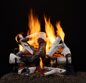 Heat & Glo Grand Birch Gas Log Set