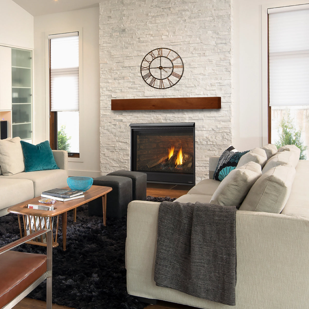 Heatilator Novus nXt Gas Fireplace