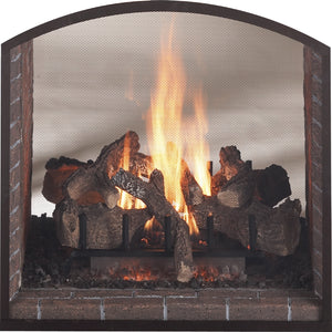 Heat & Glo Escape Double Sided Gas Fireplace