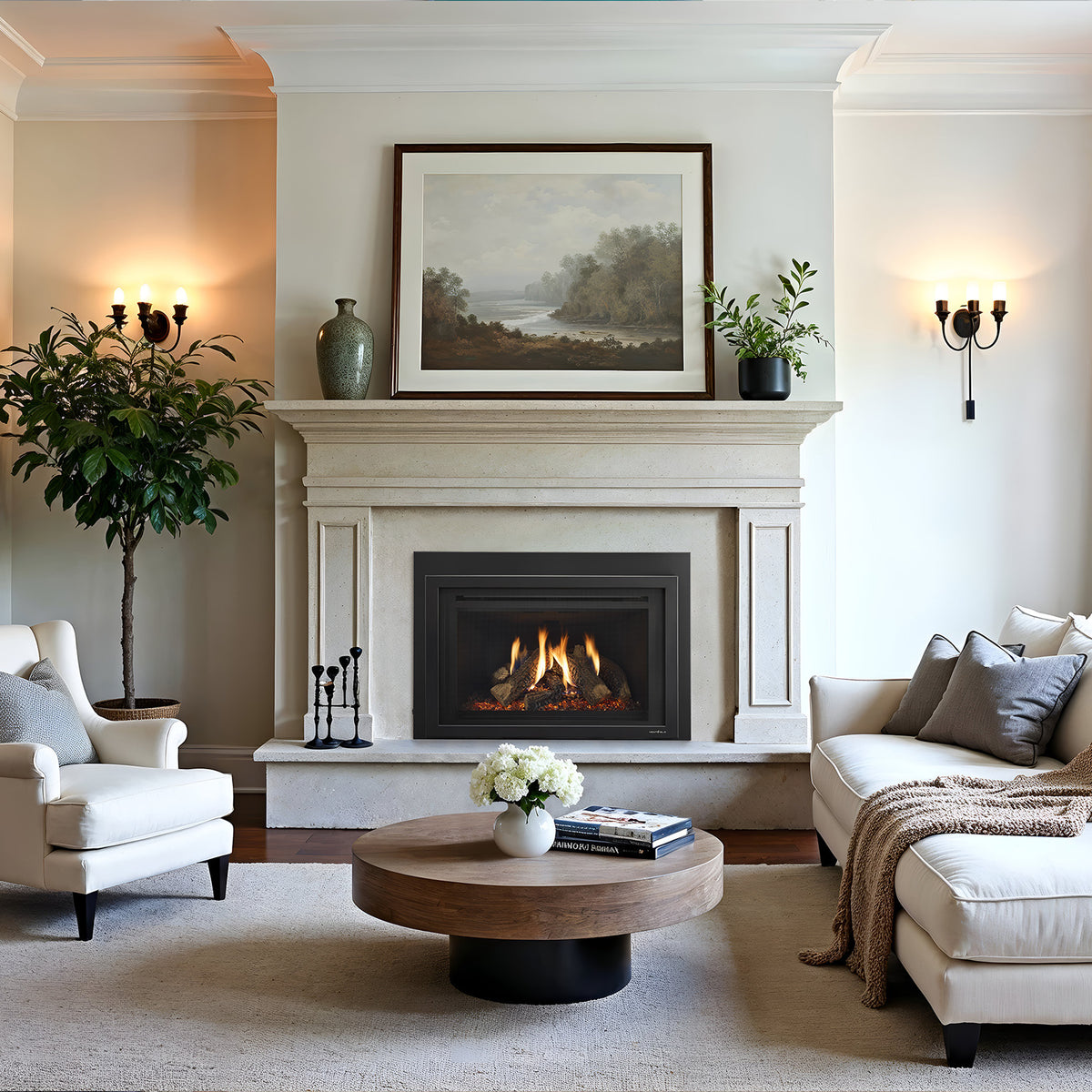 Heat &amp; Glo Supreme X Gas Insert