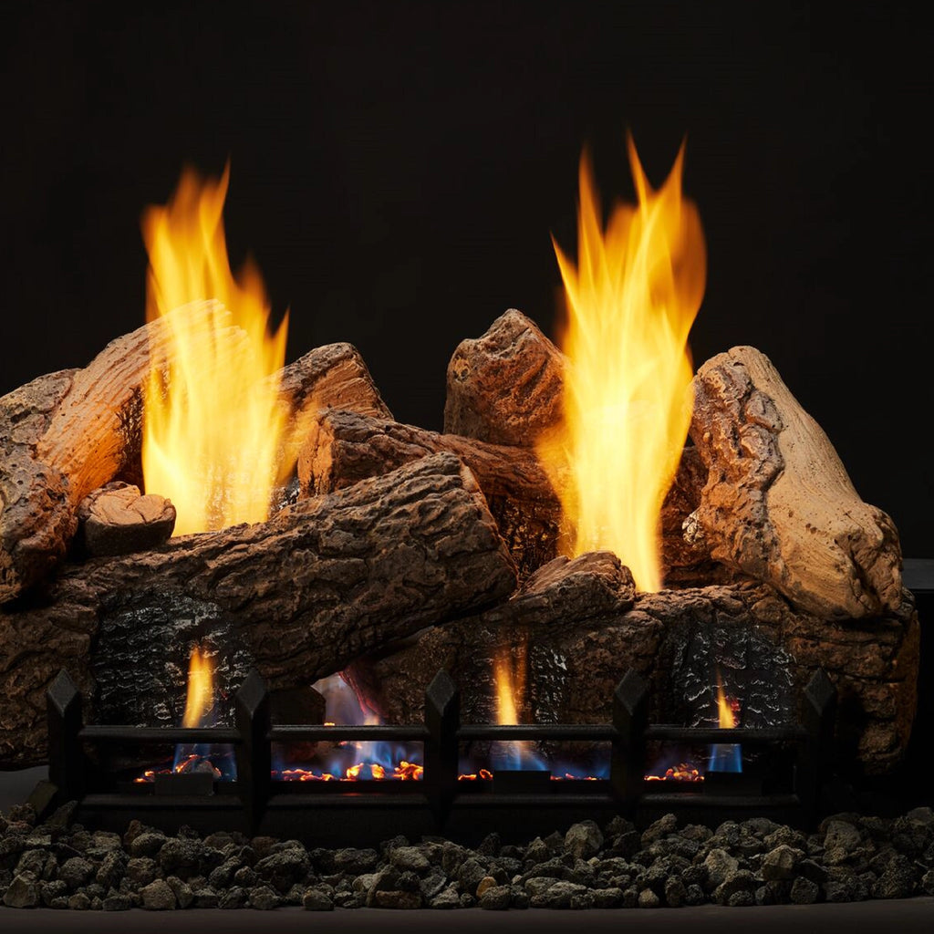 GAS KÖNIGSFÖRST オリジナル盤　2LP Napoleon Ascent X 70 Direct Vent Gas Fireplace | GX70 – North