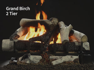 Heat & Glo Grand Birch Gas Log Set