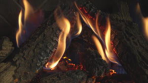 Heat & Glo Supreme X Gas Insert