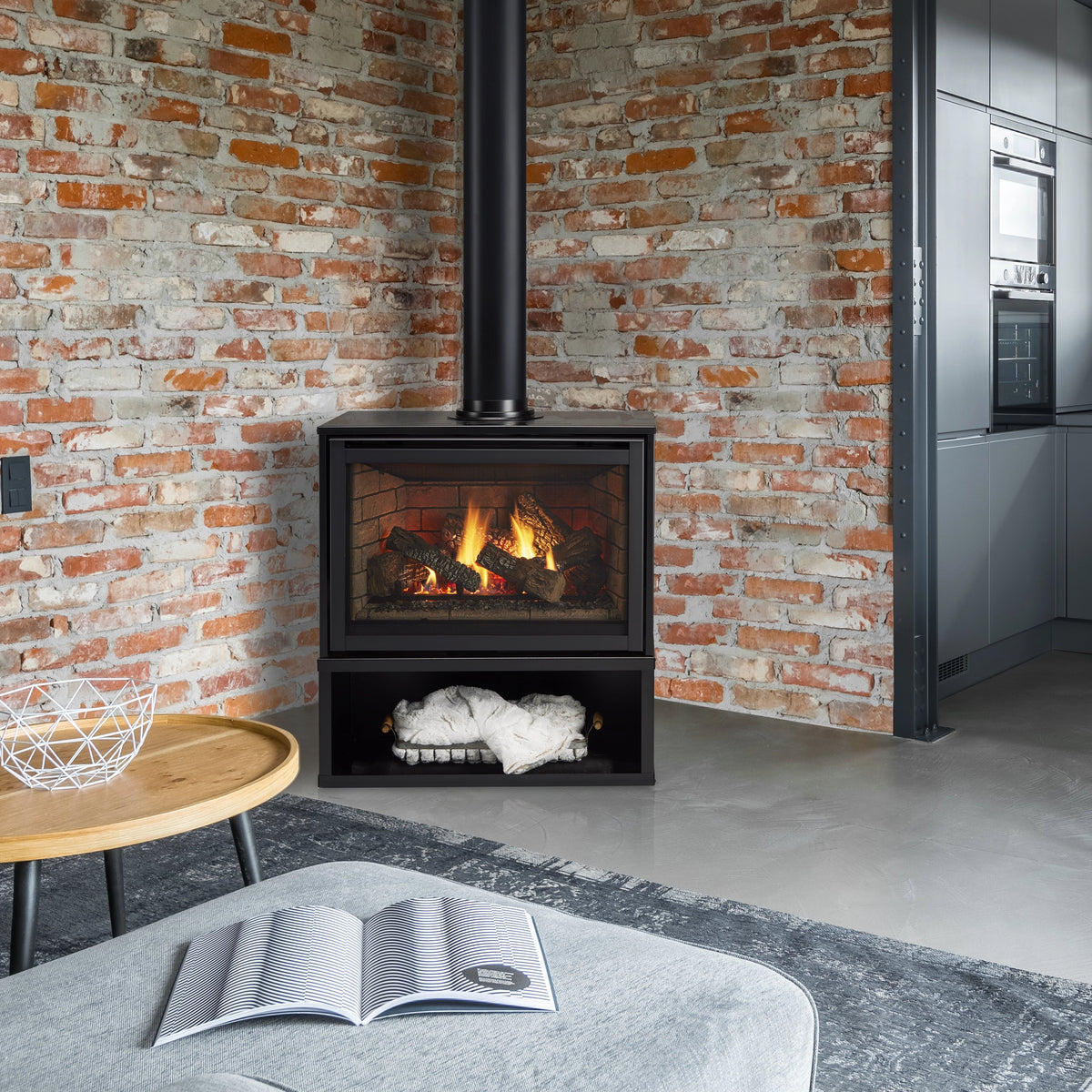 Quadra-Fire Excursion II Gas Stove