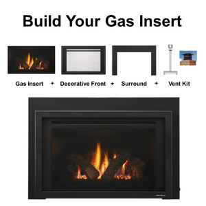 Heat & Glo Provident Gas Insert