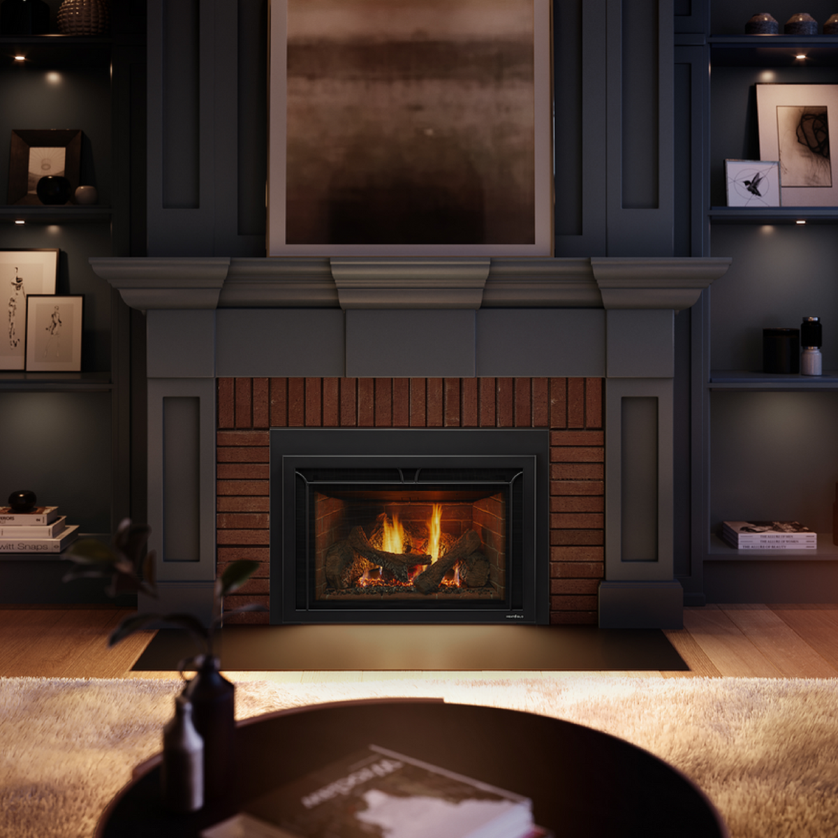 Heat & Glo Supreme Gas Insert